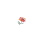 Katrine Venke